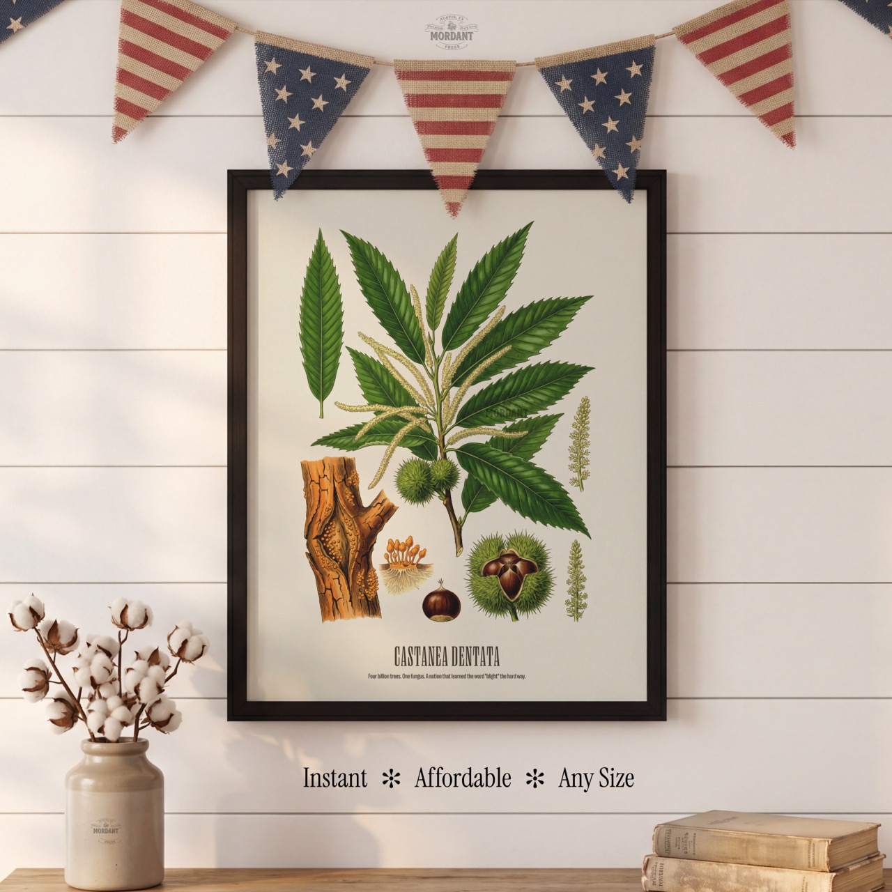 American Chestnut print framed on a wall