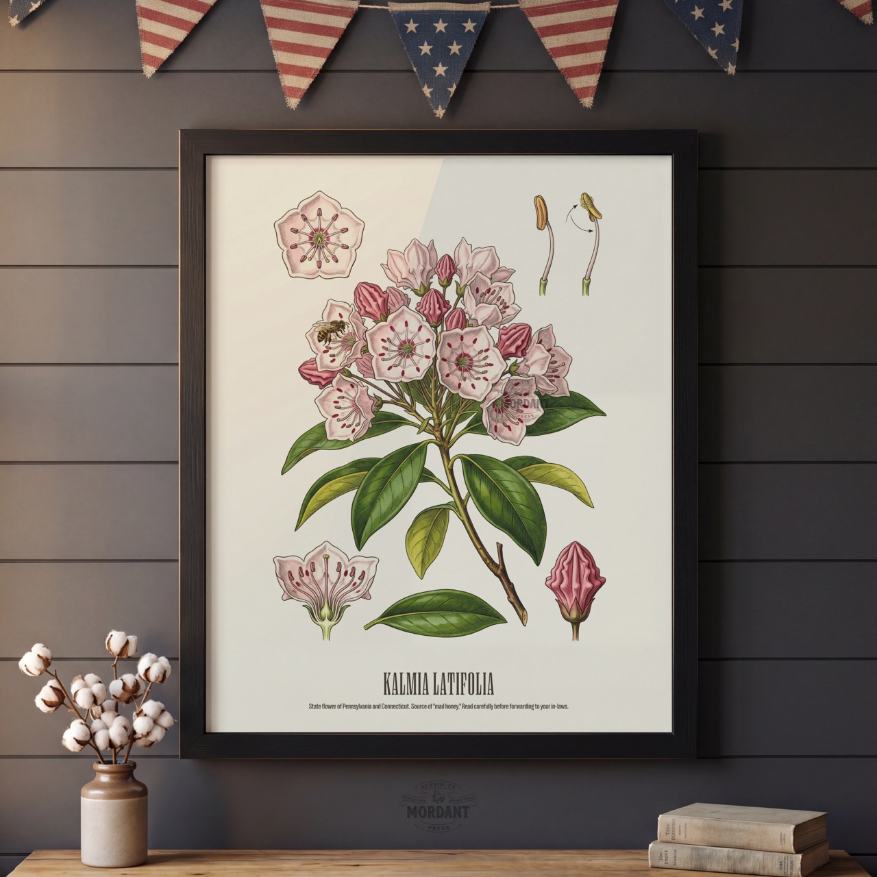Mountain Laurel print framed on a wall