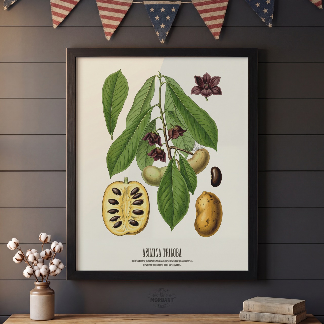 Pawpaw print framed on a wall